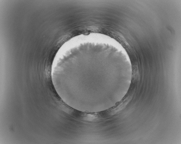 X0000115310285200912141143