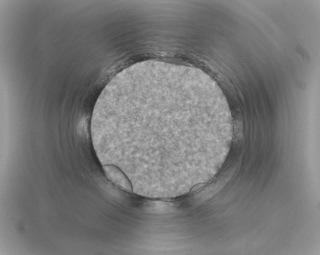 X0000115310286200912141144