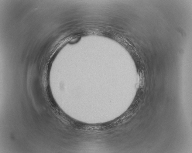 X0000115310291200912141143