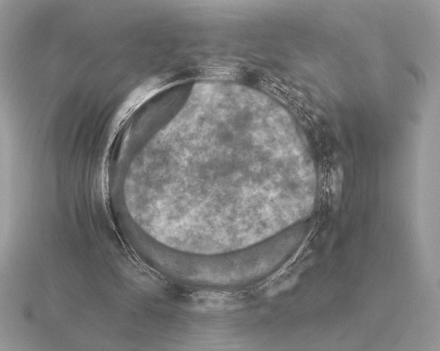 X0000115310294200912141143