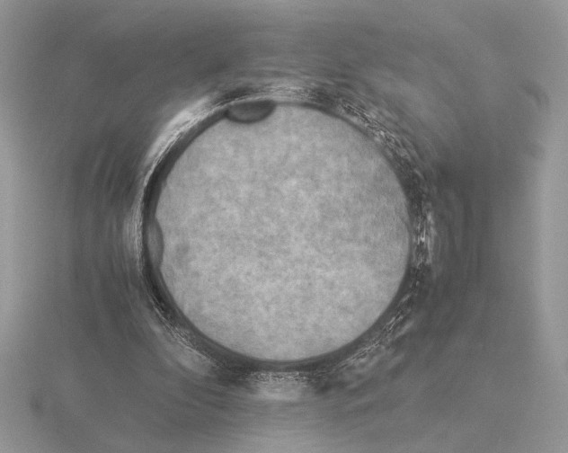 X0000115310296200912141143