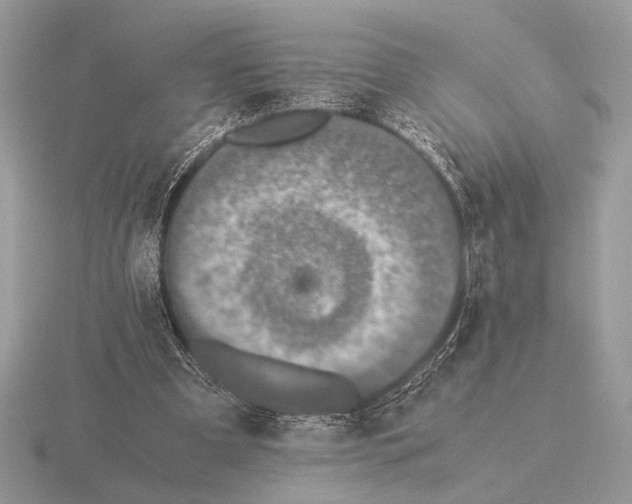 X0000115310297200912141143