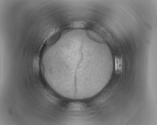 X0000115310300200912141143