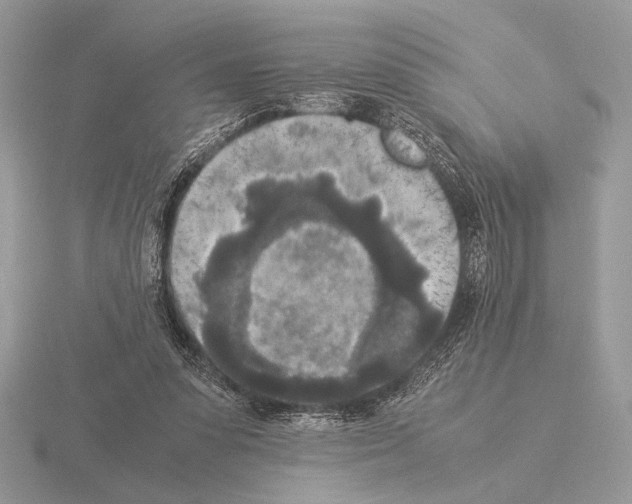 X0000115310303200912141143