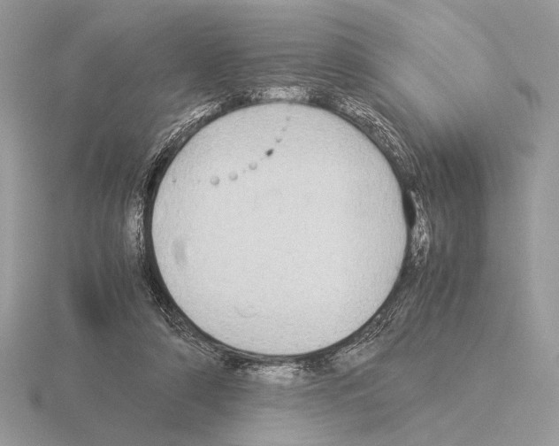 X0000115310306200912141143