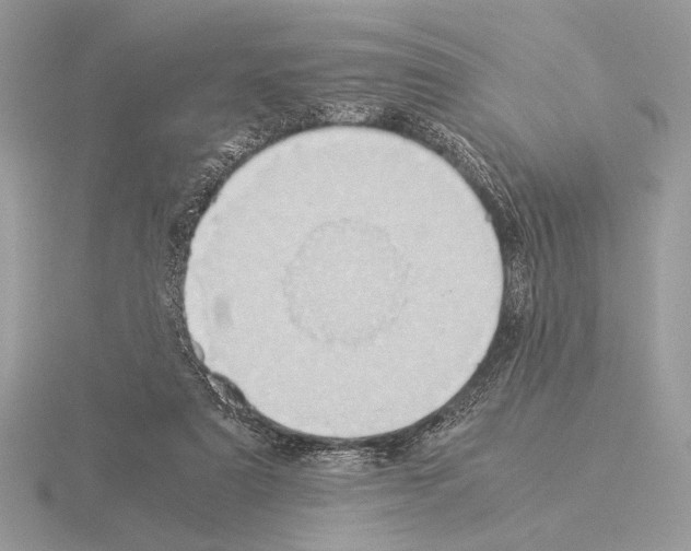 X0000115310307200912141143