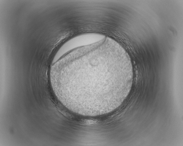 X0000115310308200912141143