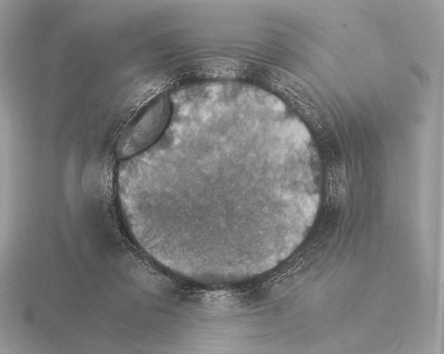 X0000115310309200912141143