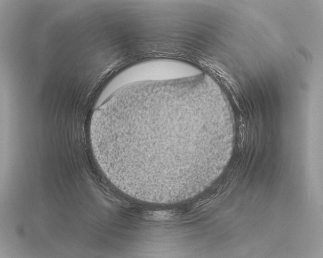 X0000115310312200912141143