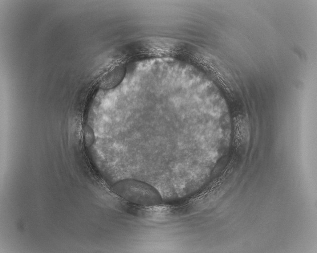 X0000115310313200912141143