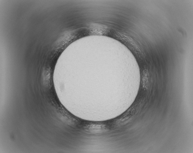 X0000115310314200912141143