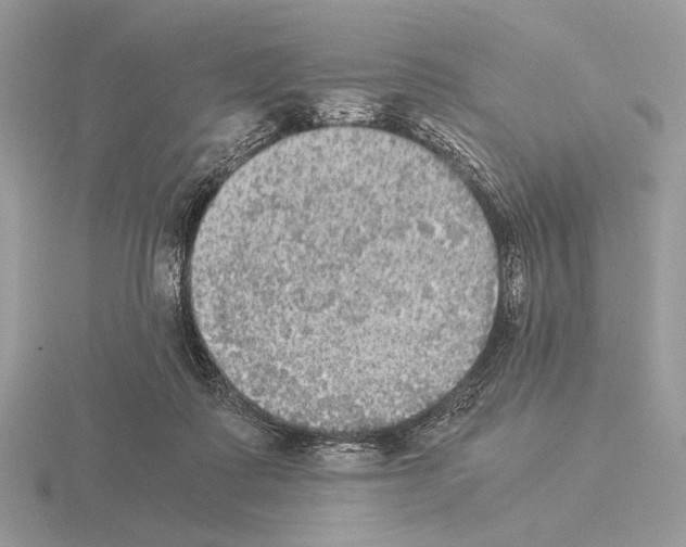 X0000115310315200912141143