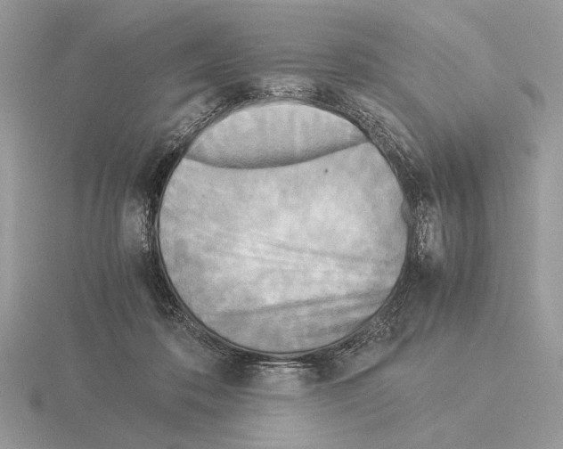 X0000115310316200912141143