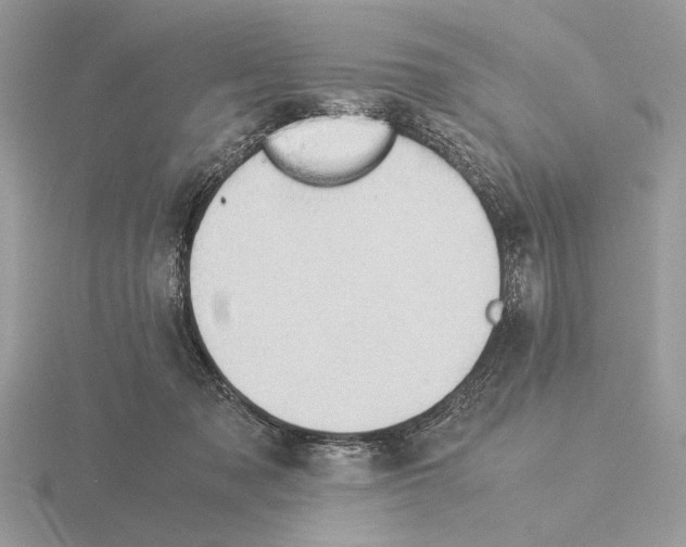 X0000115310317200912141143