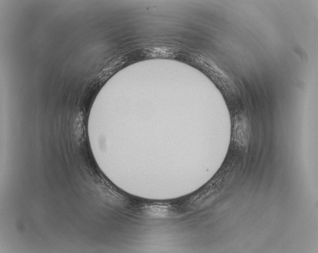 X0000115310318200912141143