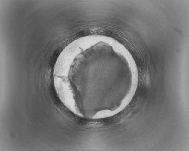 X0000115310319200912141143