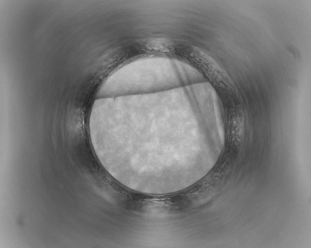 X0000115310320200912141143