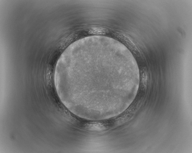 X0000115310322200912141142