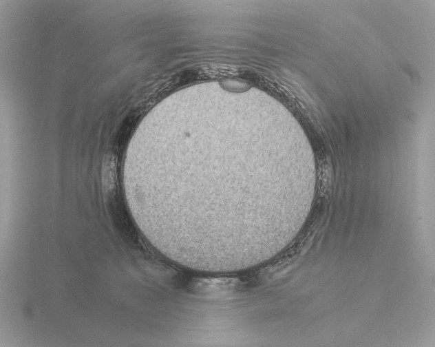 X0000115310323200912141142