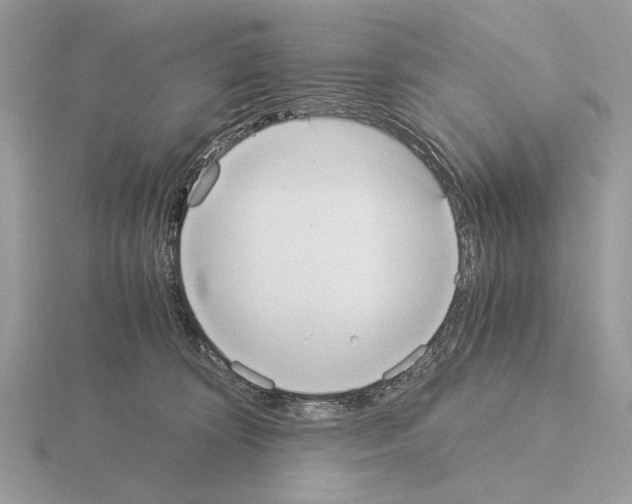 X0000115310324200912141142