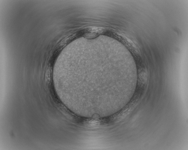 X0000115310325200912141142