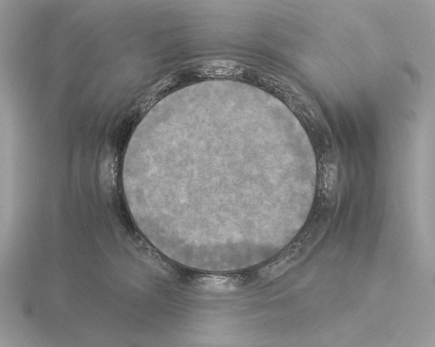 X0000115310326200912141142