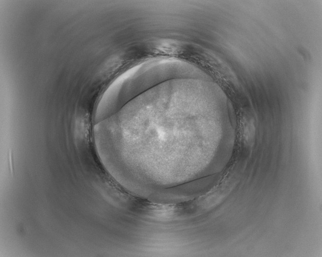 X0000115310328200912141142