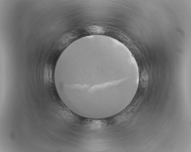 X0000115310330200912141142