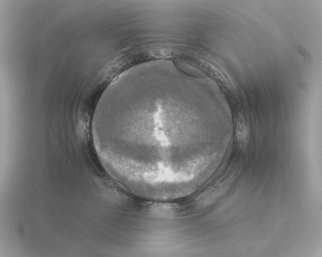 X0000115310332200912141142