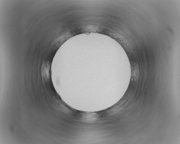 X0000115310334200912141142