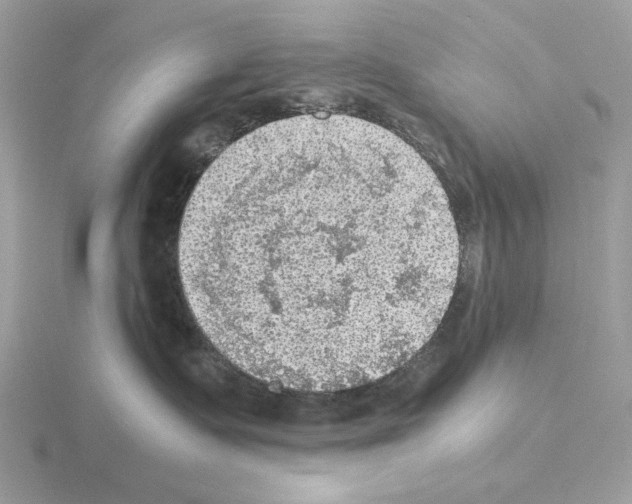 X0000115310335200912141142