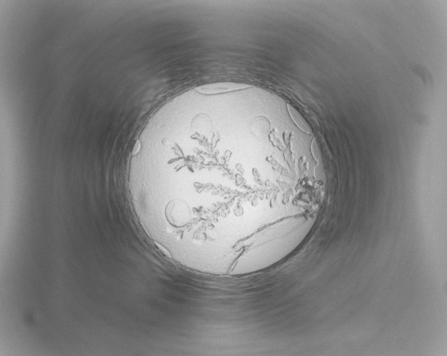 X0000115310336200912141142