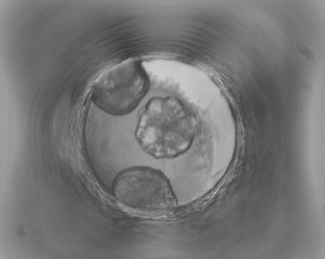 X0000115310337200912141141