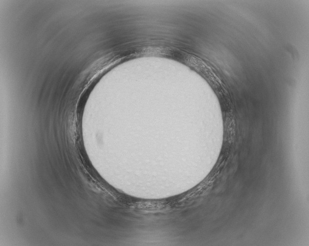 X0000115310338200912141141