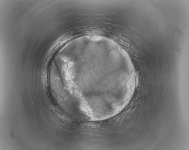 X0000115310339200912141141