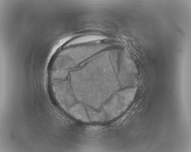 X0000115310342200912141141