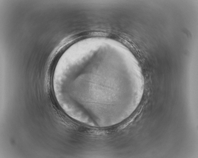 X0000115310343200912141141