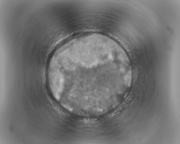 X0000115310345200912141141