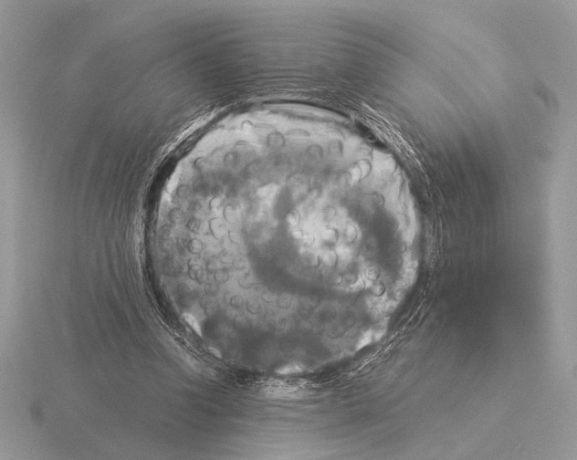 X0000115310346200912141141