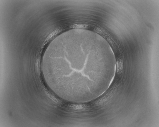 X0000115310349200912141142