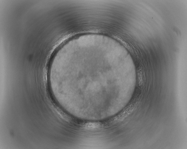 X0000115310350200912141142