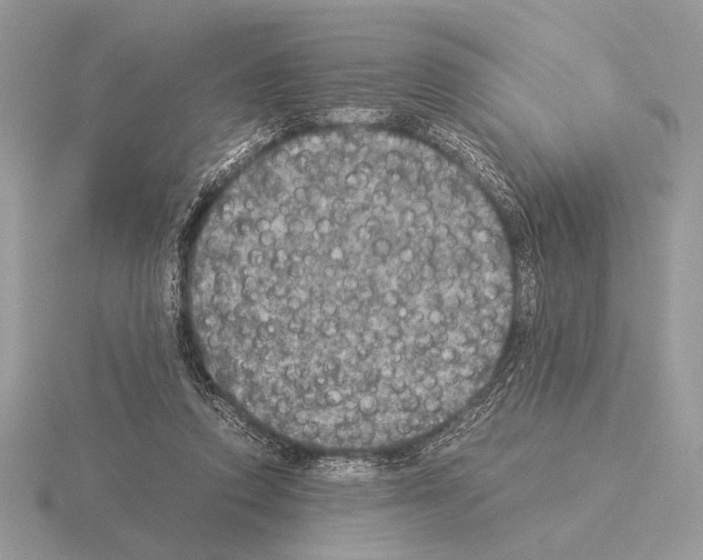 X0000115310354200912141142