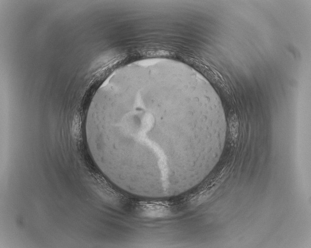 X0000115310359200912141142