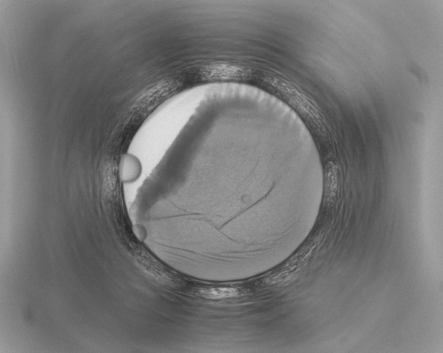 X0000115310361200912141142