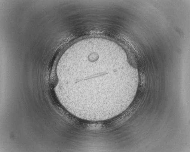 X0000115310362200912141142