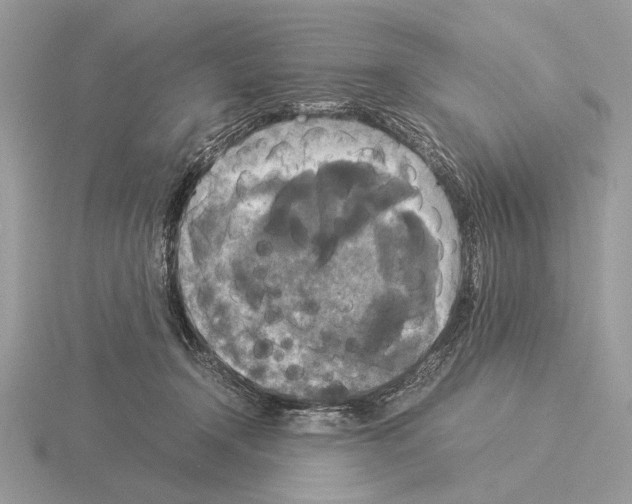 X0000115310366200912141142