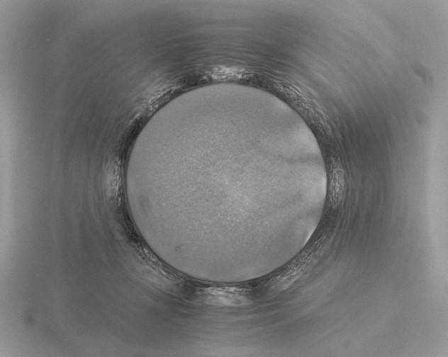 X0000115310367200912141142