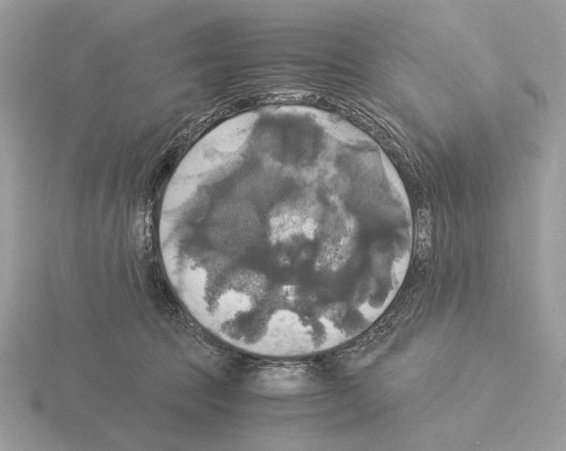 X0000115310369200912141142