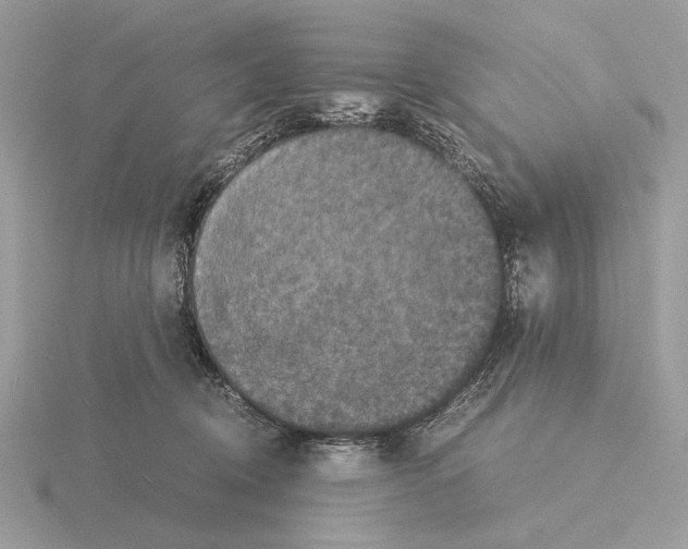 X0000115310370200912141142