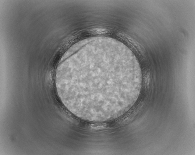 X0000115310373200912141142